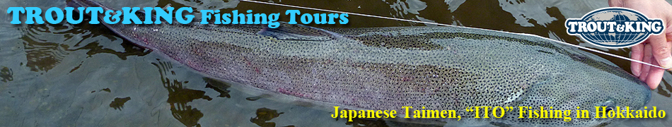 Japanese Taimen fishing
