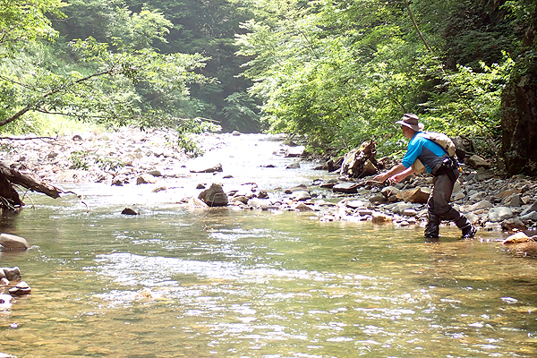 flyfishing in Toyama and Kanazawa