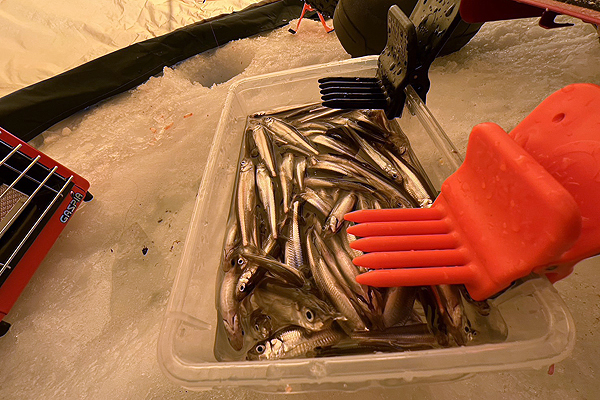 ice fishing in Sapporo
