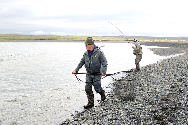 �A�C�X�����h�@�A�g�����e�B�b�N�T�[����