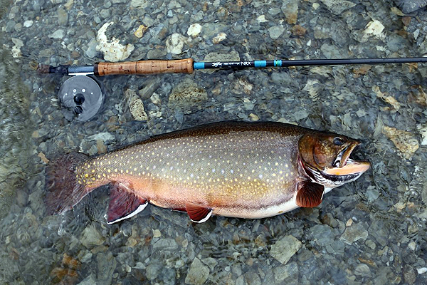 フェゴ島 リオグランデ