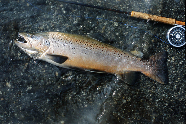 フェゴ島 リオグランデ
