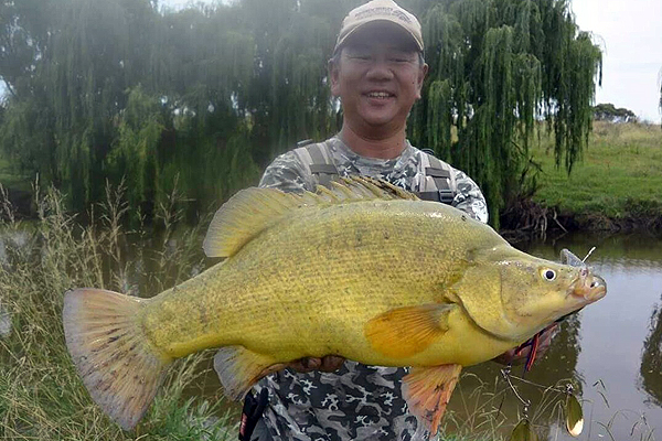 オーストラリア マレーコッド フィッシング