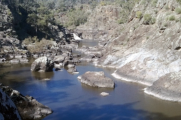 オーストラリア マレーコッド フィッシング