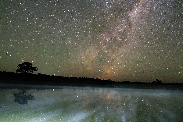 オーストラリア マレーコッド フィッシング