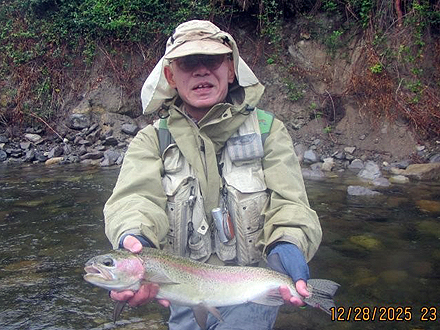 ニュージーランド 北島 ムルパラ