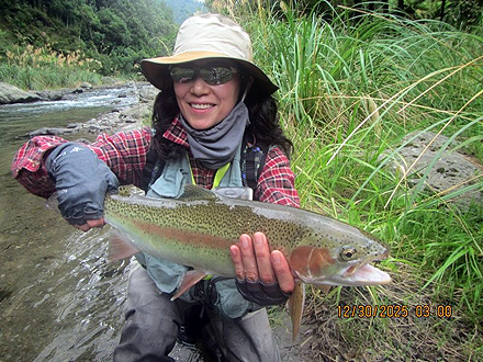 ニュージーランド 北島 ムルパラ