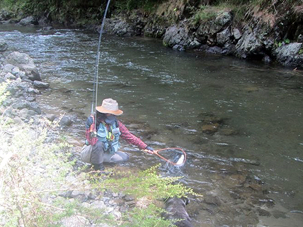 ニュージーランド 北島 ムルパラ
