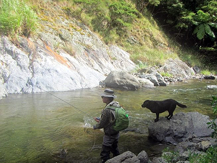ニュージーランド 北島 ムルパラ