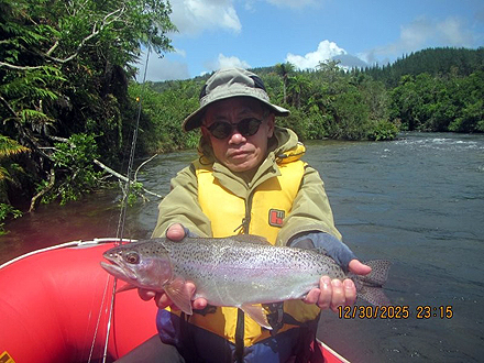 ニュージーランド 北島 ムルパラ