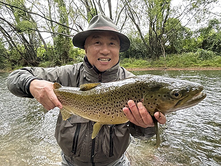 ニュージーランド 南島 クライストチャーチ