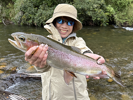 ニュージーランド 北島 ムルパラ