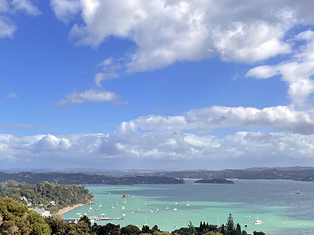 ニュージーランド キングフィッシュ