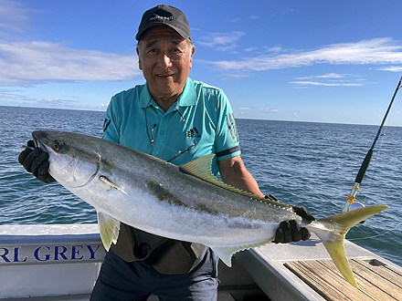 ニュージーランド キングフィッシュ