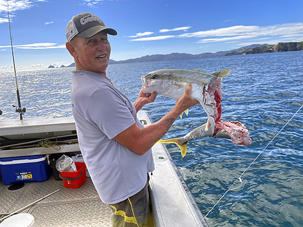 ニュージーランド キングフィッシュ