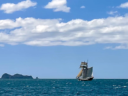 ニュージーランド キングフィッシュ