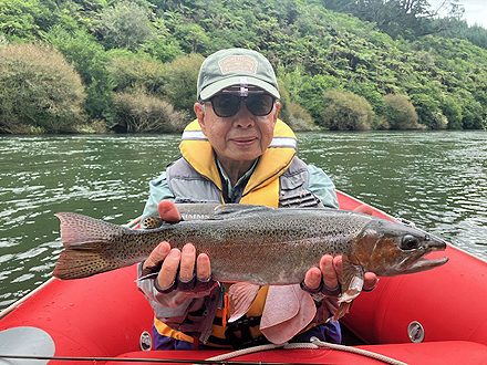 ニュージーランド 北島 ムルパラ