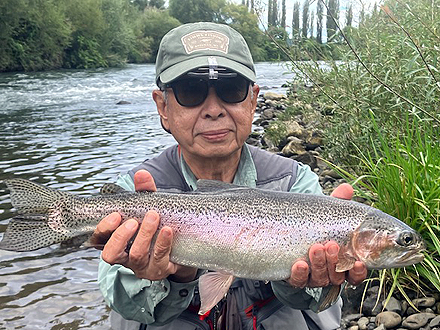 ニュージーランド 北島 ムルパラ