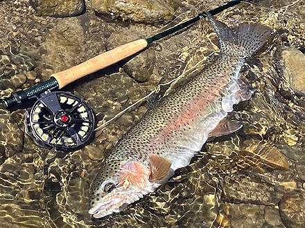 ニュージーランド 北島 ムルパラ