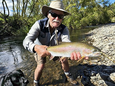 ニュージーランド 北島 ムルパラ