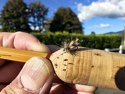 ニュージーランド 北島 ムルパラ