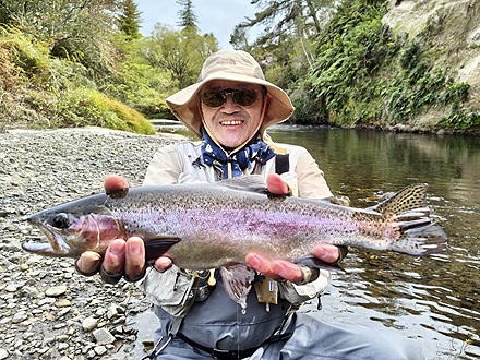 ニュージーランド 北島 ムルパラ